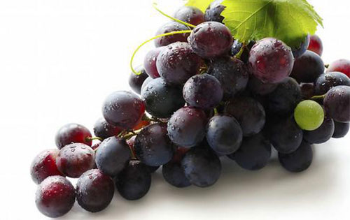 Ϊʲô���ӷ��� ��Һ������ô��